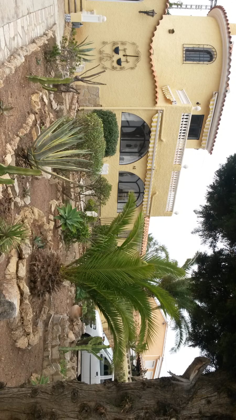 Außenansicht mit Palme